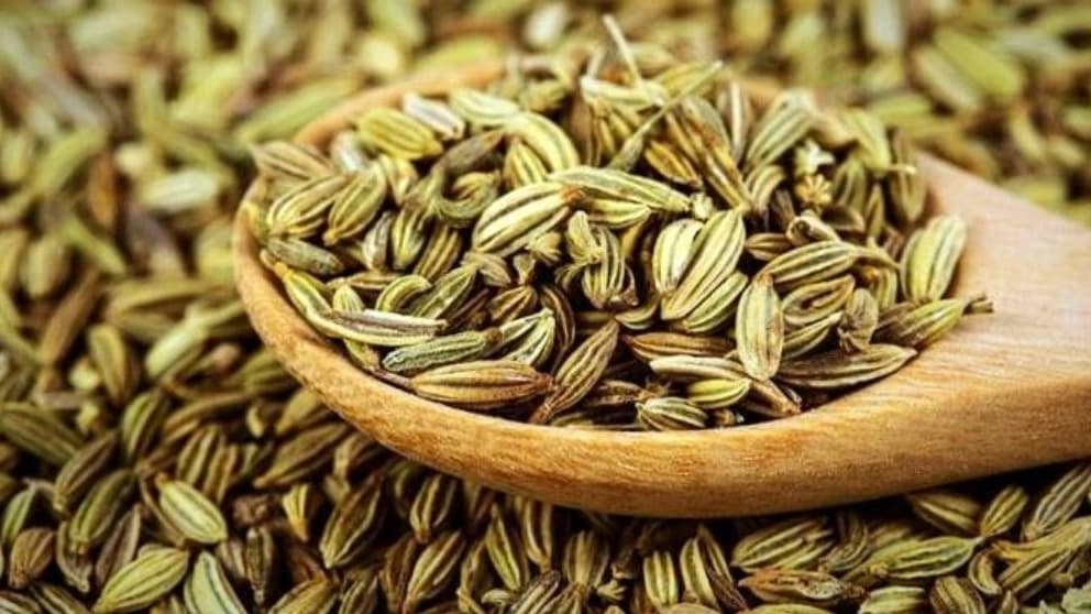 فروش عمده و صادرات زیره سبز