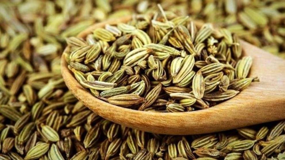 فروش عمده و صادرات زیره سبز فروش عمده و صادرات زیره سبز